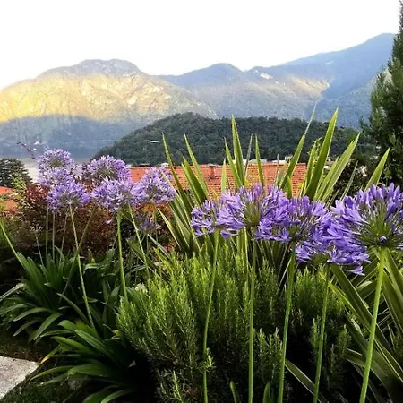 Apartment Magic Garden With Jacuzzi-pool And Luxury View Lenno