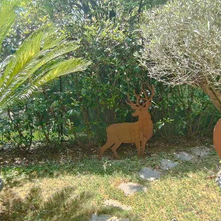 Apartment Magic Garden With Jacuzzi-pool And Luxury View Lenno
