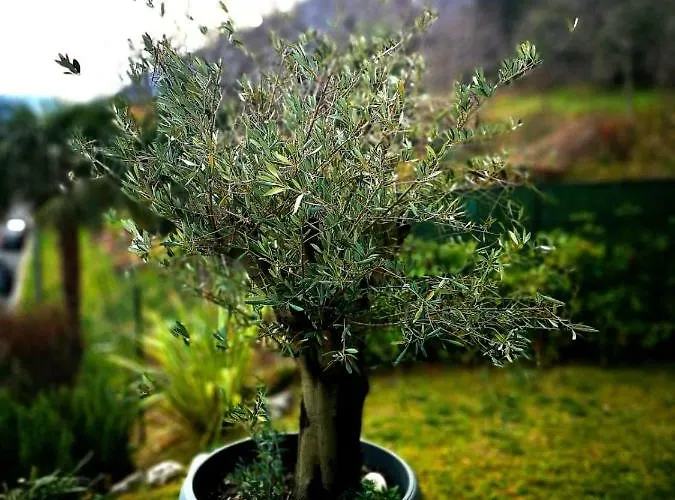 Magic Garden With Jacuzzi-pool And Luxury View * Lenno