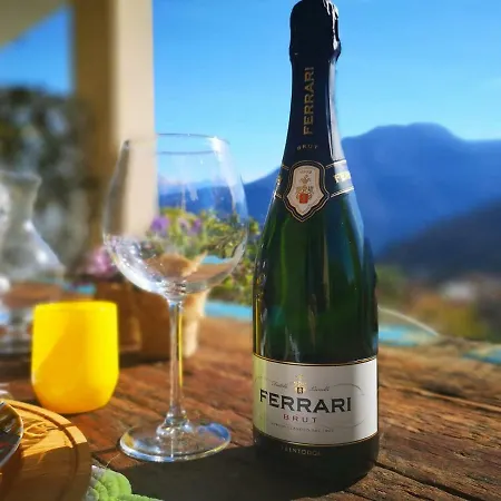 Magic Garden With Jacuzzi-pool And Luxury View * レンノ